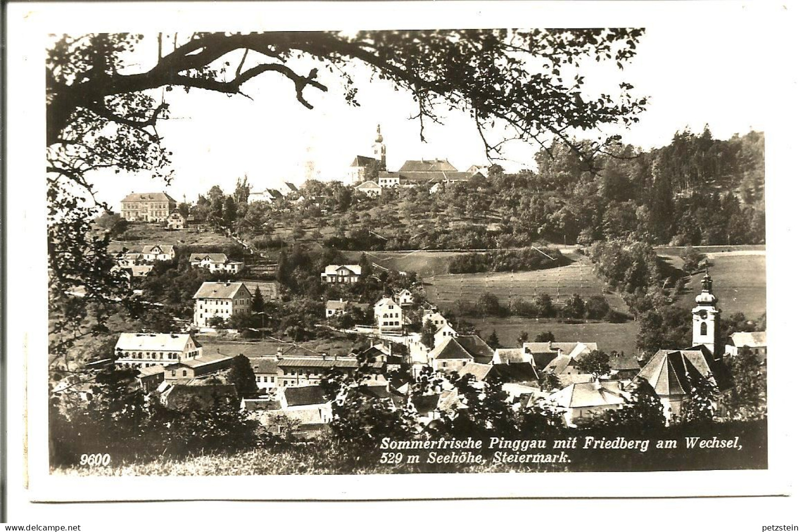 AK. Sommerfrische Pinggau Mit Friedberg Am Wechsel - Vorau