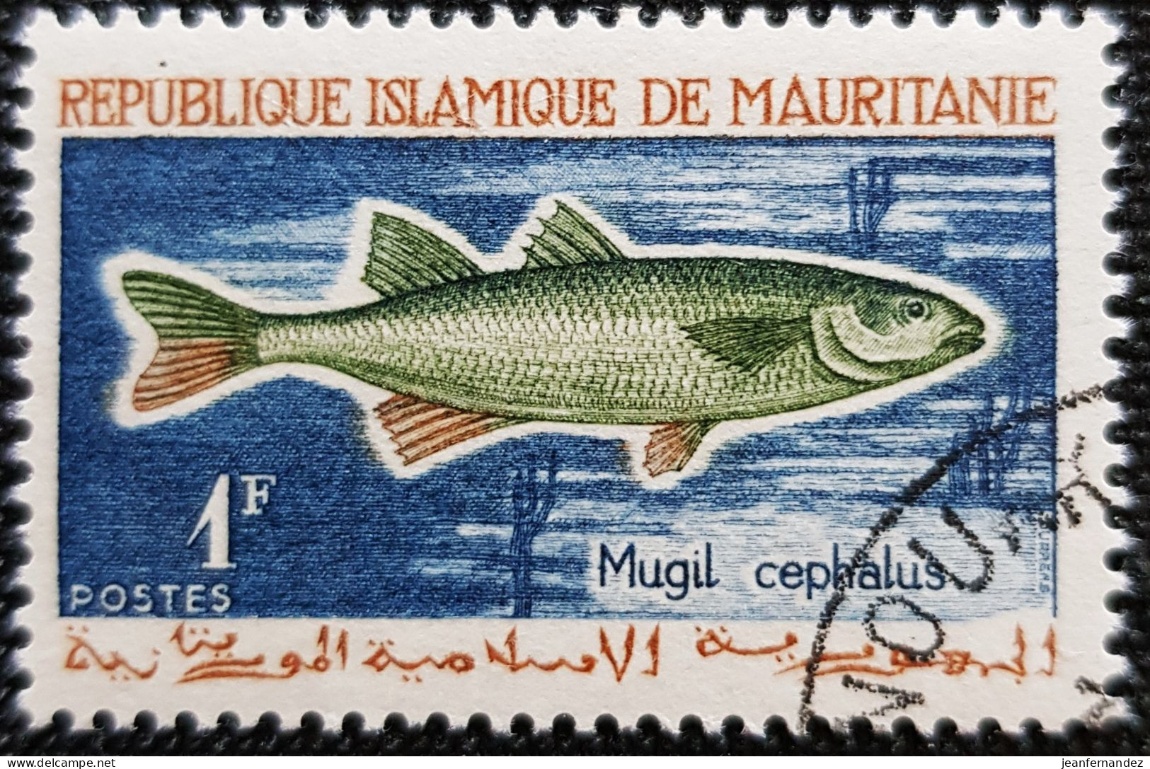 Mauritanie 1964 Fish  Stampworld N° 236 - Mauritanie (1960-...)