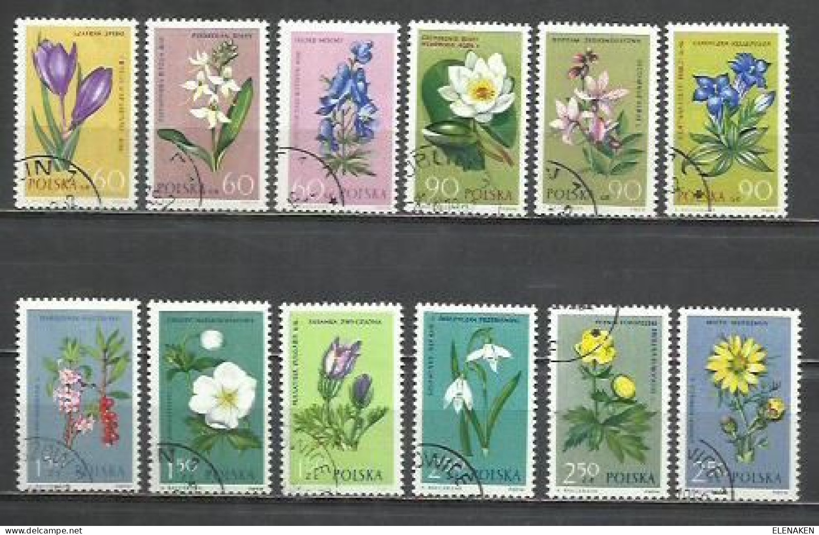 R281G-POLONIA SERIE COMPLETA NATURALEZA FLORA FLORES PLANTAS Nº1185/96 DE 1962 BONITOS, USADO. - Gebraucht