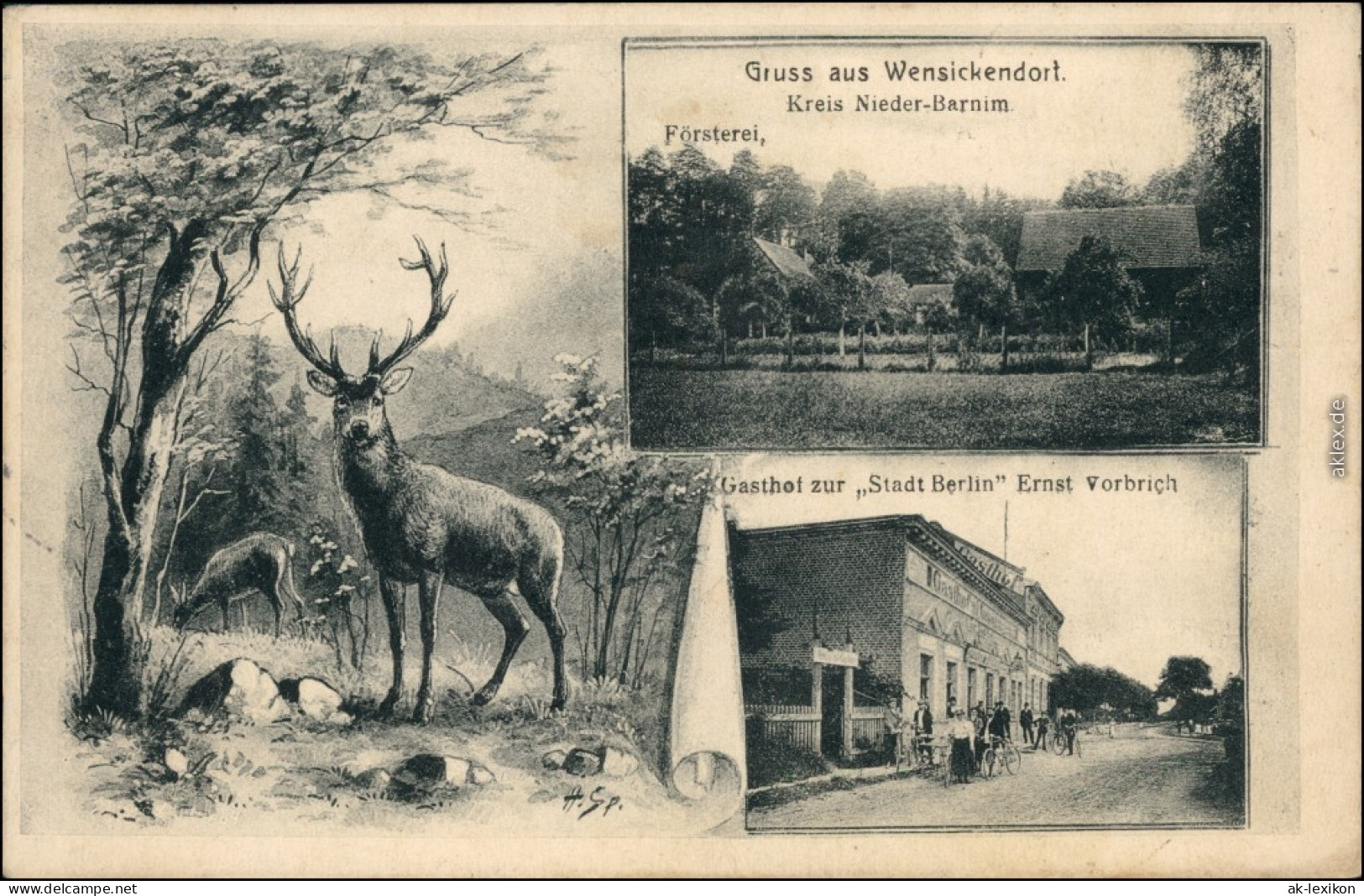 Wensickendorf-Oranienburg Hirsche, Gasthof Stadt Berlin, Försterei 1913  - Oranienburg