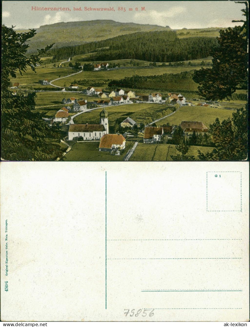 Ansichtskarte Hinterzarten Blick Auf Die Stadt 1911  - Hinterzarten