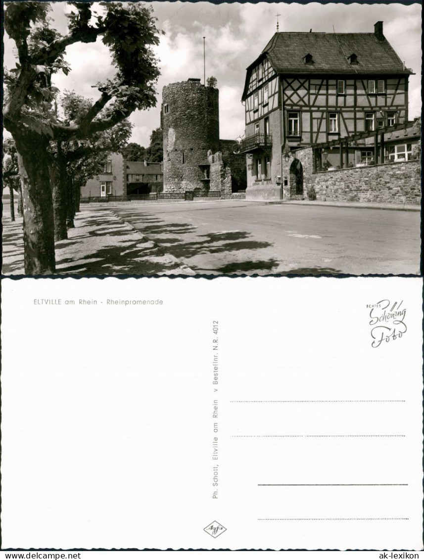 Ansichtskarte Eltville Am Rhein Strassen Ansicht Rheinpromenade 1960 - Eltville