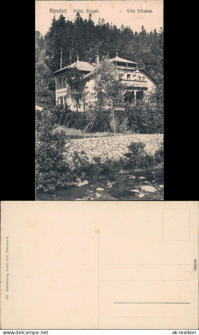 Kipsdorf-Altenberg (Erzgebirge) Partie An Der Villa Johanna 1916  - Kipsdorf