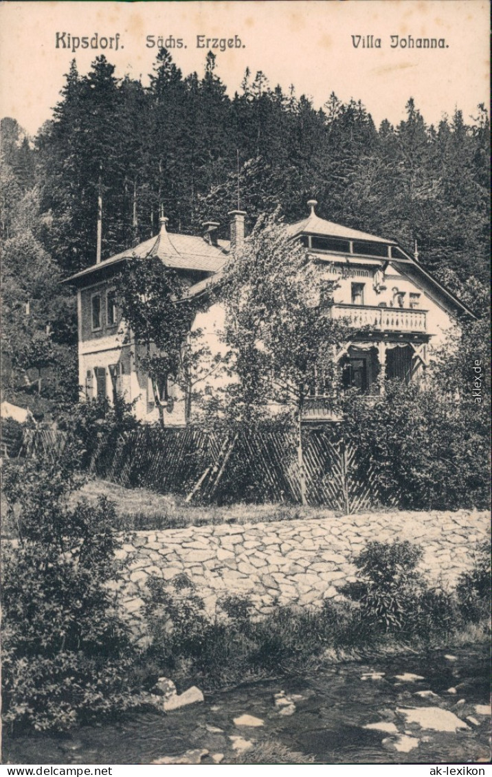Kipsdorf-Altenberg (Erzgebirge) Partie An Der Villa Johanna 1916  - Kipsdorf
