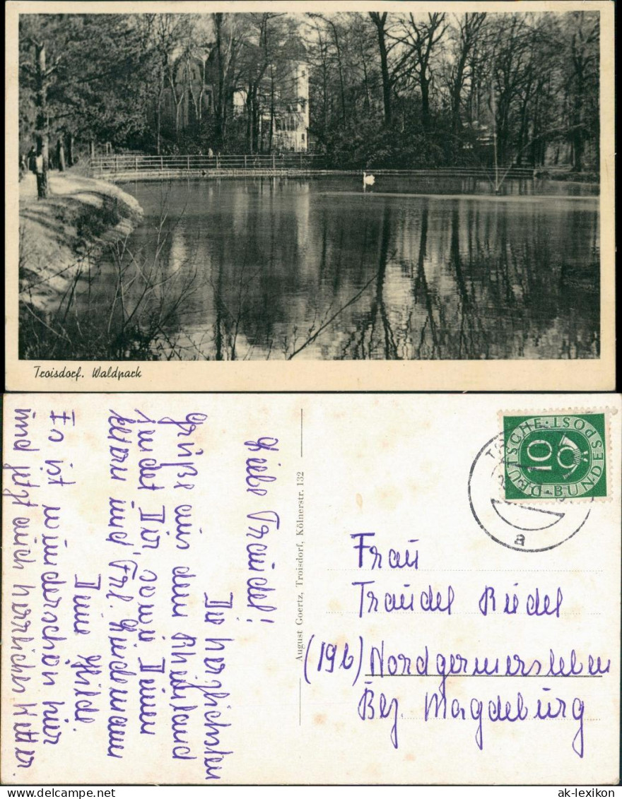 Ansichtskarte Troisdorf Partie Im Waldpark 1951 - Troisdorf