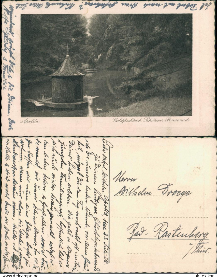 Ansichtskarte Apolda Goldfischteich Schötener Promenade 1928 - Apolda