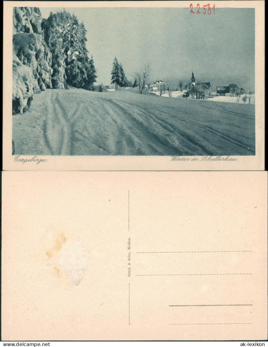 Ansichtskarte Schellerhau-Altenberg (Erzgebirge) Winter Im Erzgebirge 1928 - Schellerhau