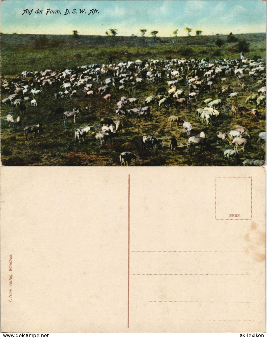 Postcard .Namibia Deutsch-Südwestafrika DSWA Farm Kolonie 1909 - Namibia