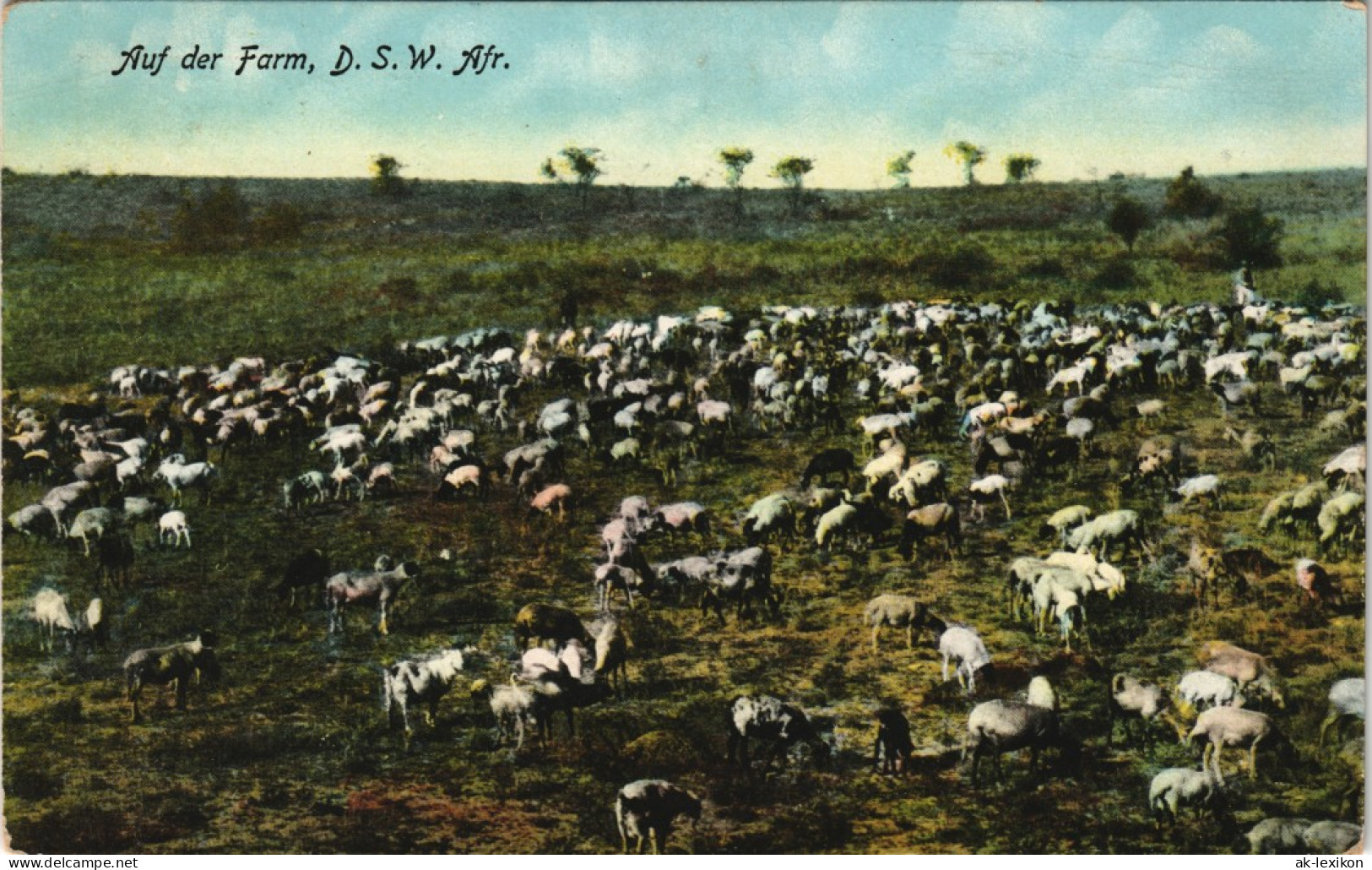 Postcard .Namibia Deutsch-Südwestafrika DSWA Farm Kolonie 1909 - Namibie