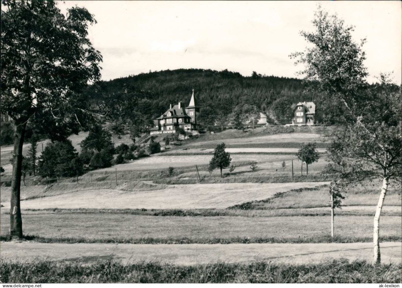 Ansichtskarte Rehefeld-Altenberg (Erzgebirge) Stadtblick 1962 - Rehefeld