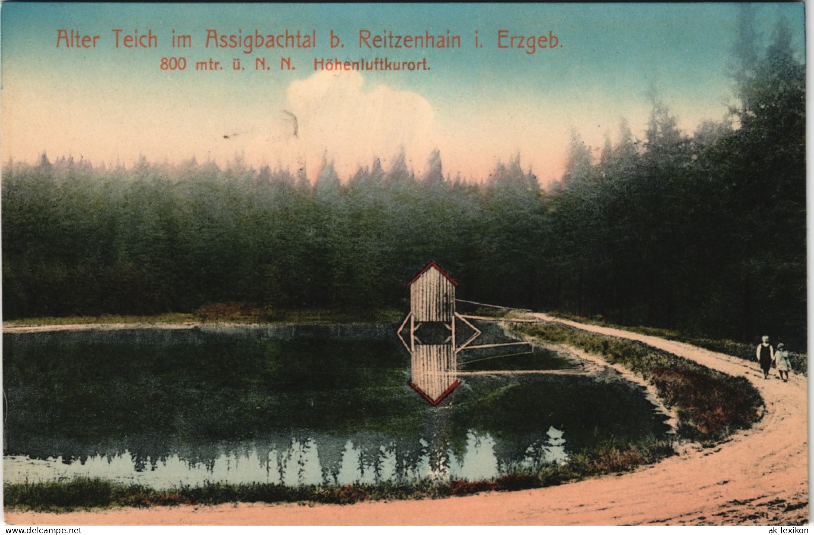 Reitzenhain-Marienberg Im Erzgebirge Alter Teich Hütte Assigbachtal 1913 - Marienberg