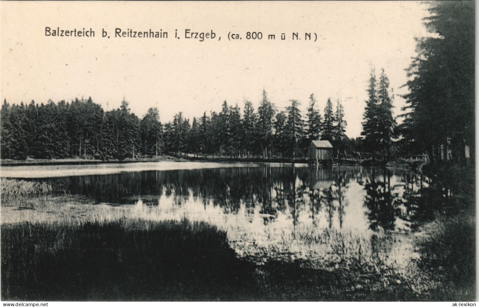 Ansichtskarte Reitzenhain-Marienberg Im Erzgebirge Balzerteich - Hütte 1913 - Marienberg