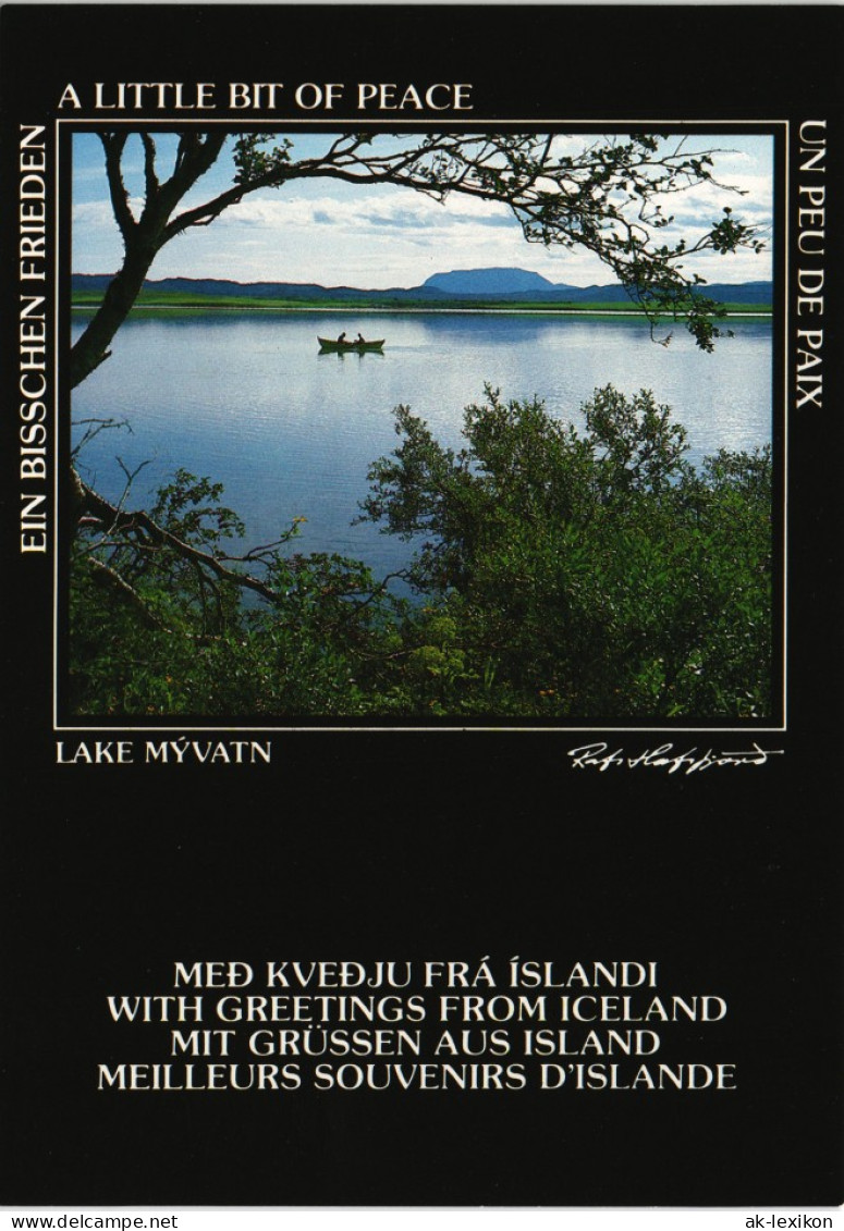 Island  Iceland MÝVATN Lake See Landschaft Iceland Postkarte 1980 - Islande