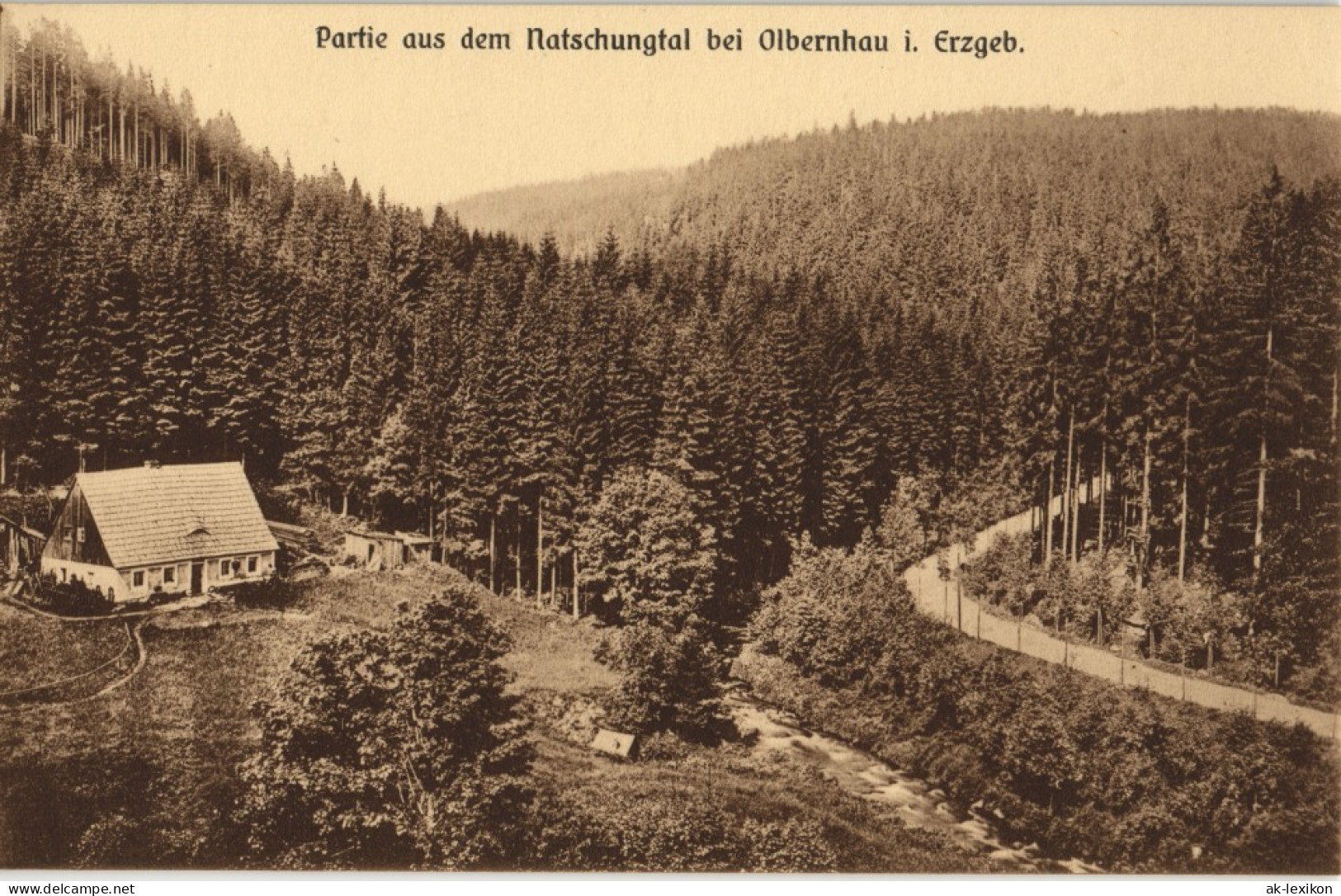 Postcard Natschung-Kallich Načetín Kalek Natschungtal - Hütten 1914 - Olbernhau