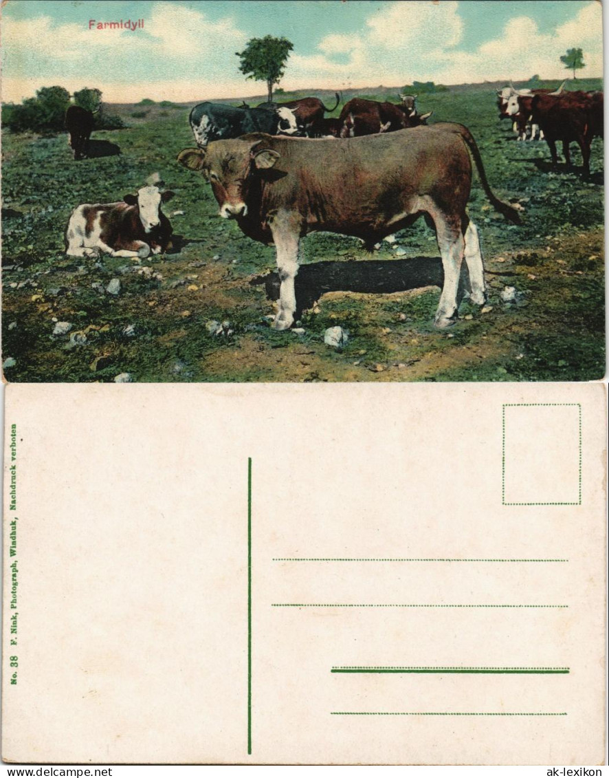 Postcard .Namibia Farmidyll Deutsch-Südwestafrika DSWA Kolonie 1908 - Namibie