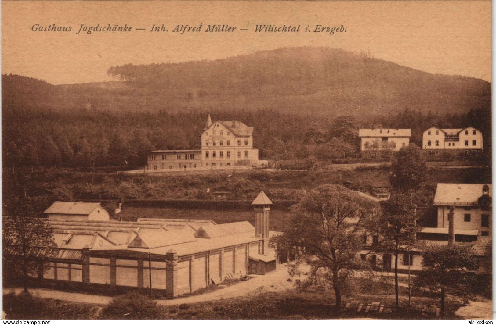 Ansichtskarte Wilischthal-Zschopau Gasthaus Jagdschänke 1917 - Zschopau