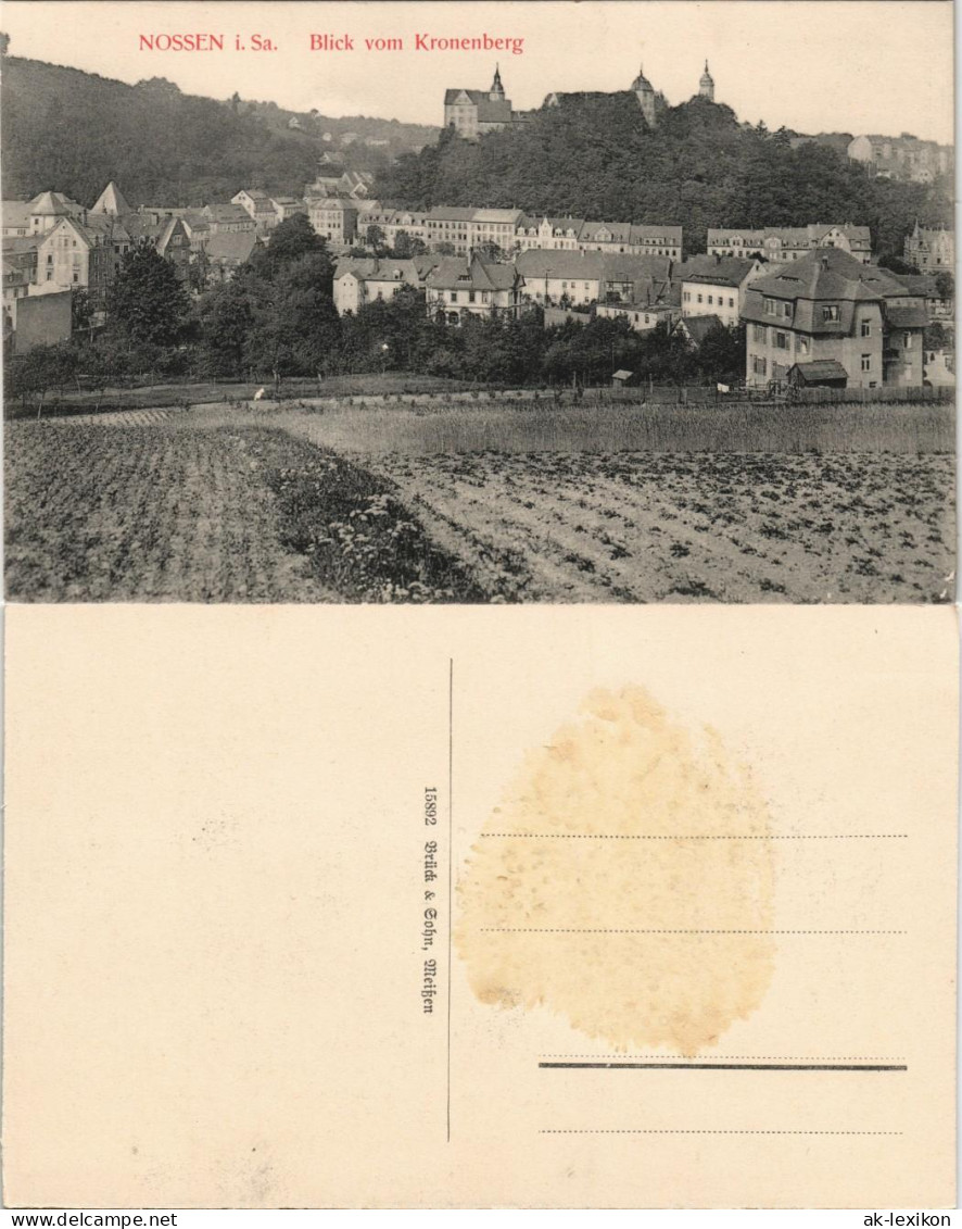 Ansichtskarte Nossen Blick Vom Kronenberg 1914 - Nossen