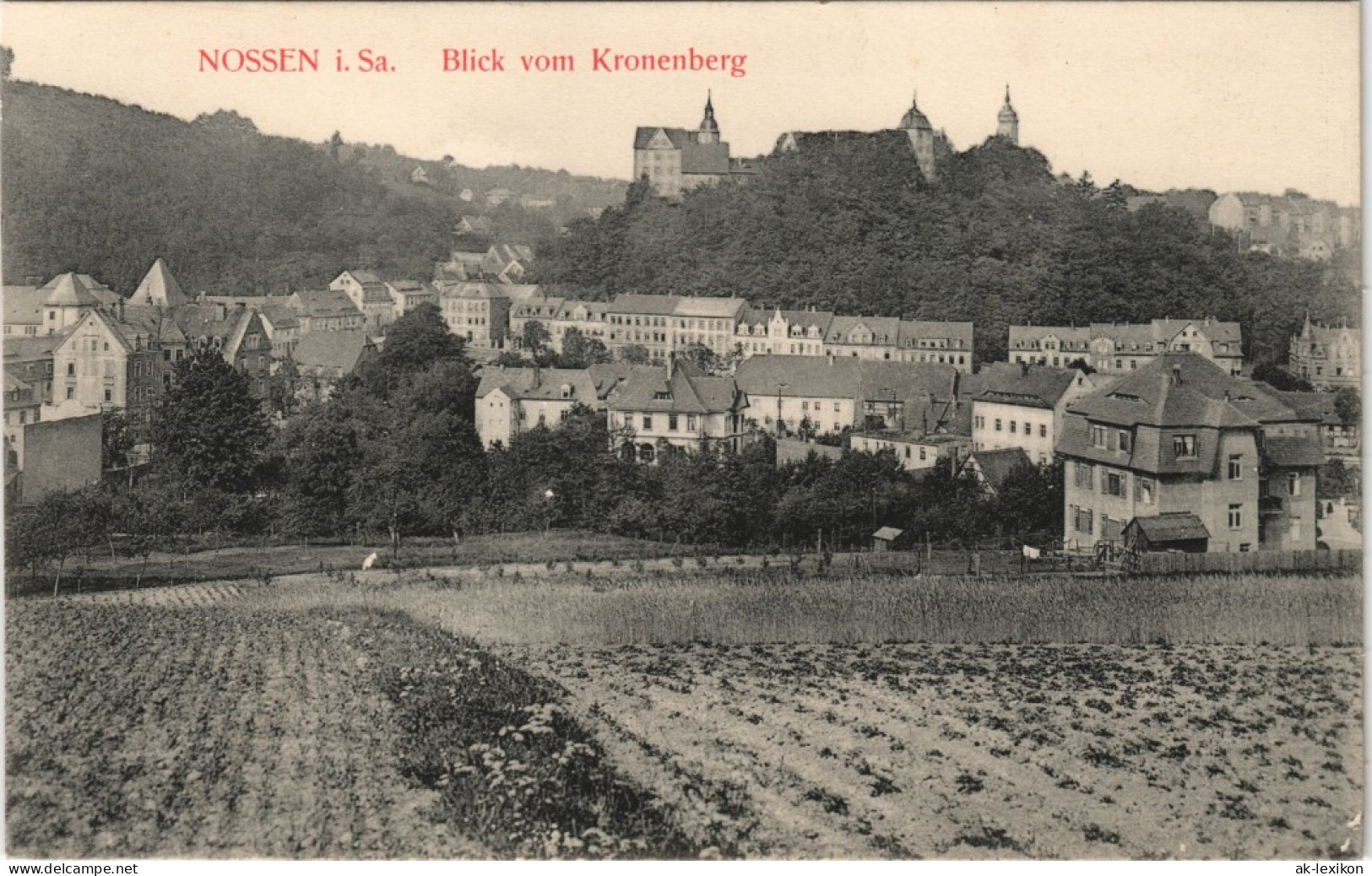 Ansichtskarte Nossen Blick Vom Kronenberg 1914 - Nossen