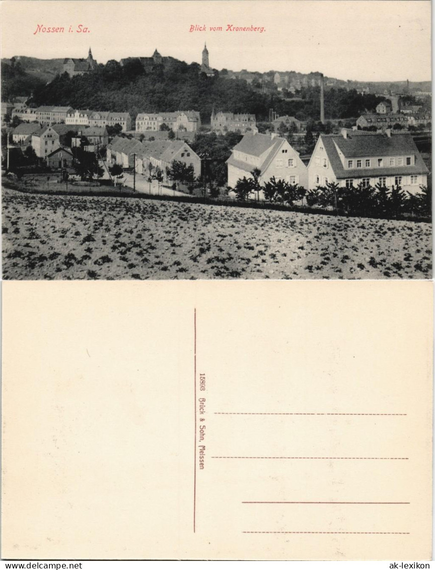 Ansichtskarte Nossen Straßenpartie - Blick Vom Kronenberg 1913 - Nossen