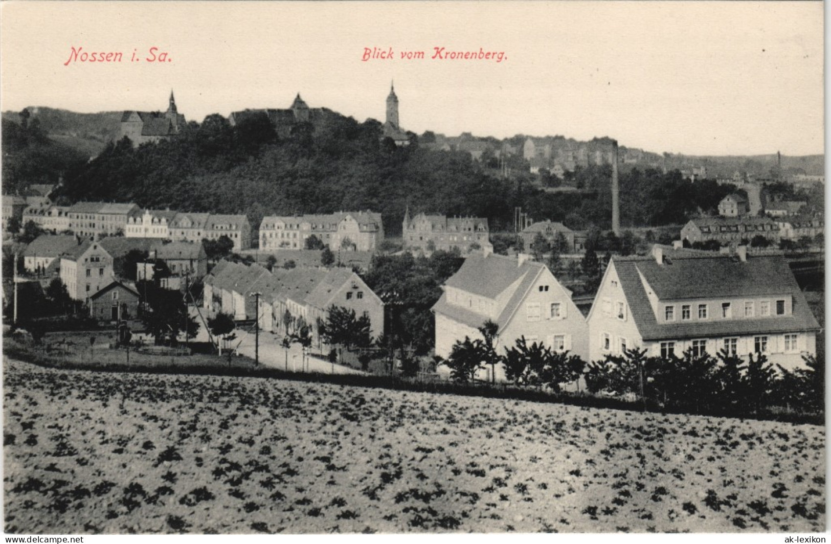 Ansichtskarte Nossen Straßenpartie - Blick Vom Kronenberg 1913 - Nossen