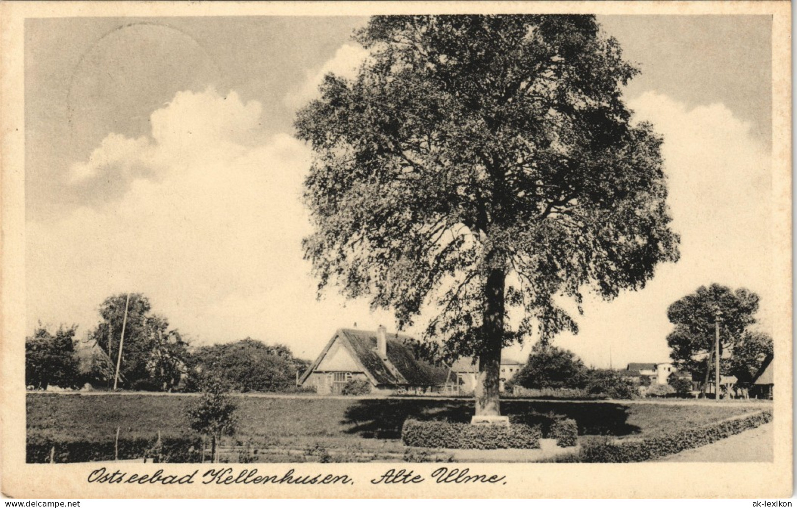 Ansichtskarte Kellenhusen (Ostsee) Alte Ulme - Bauernhaus 1934 - Kellenhusen