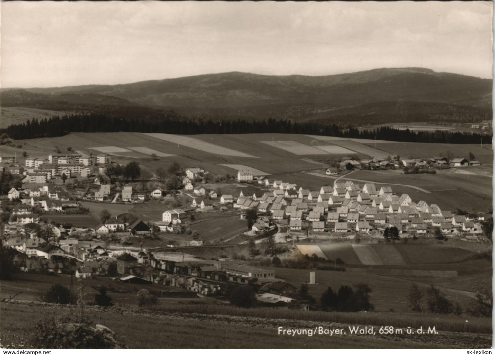 Ansichtskarte Freyung Panorama Totalansicht 1964 - Freyung