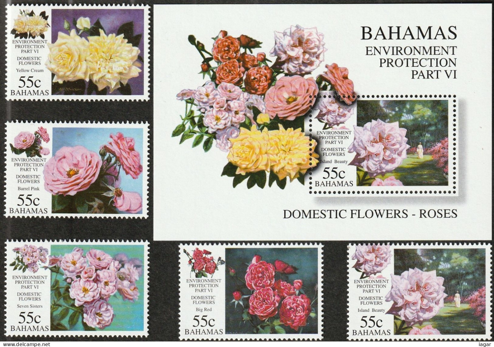 THEMATIC ENVIRONMENT PROTECTION: DOMESTIC FLOWERS, ROSES. BIG RED,YELLOW CREAM,BARREL PINK  ETC.   5v+MS    -  BAHAMAS - Environment & Climate Protection