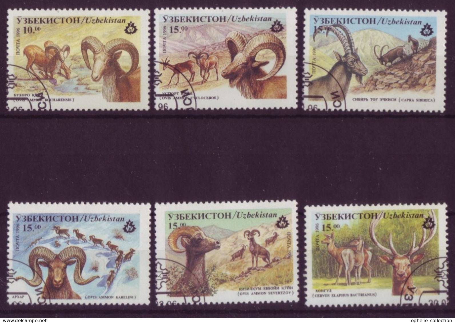 Asie - Uzbekistan - Faune - 6 Timbres Différents - 6792 - Uzbekistán