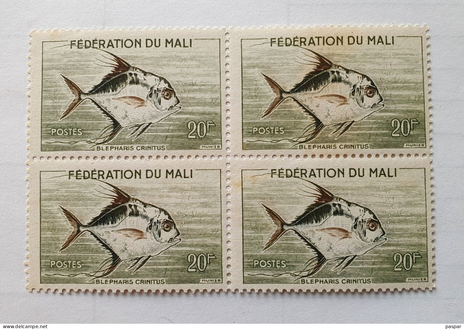 Bloc De 4 Timbres Neufs 20F Fédération Du Mali 1960  - Poissons Blepharis Crinitus  - YT ML5 - Malí (1959-...)