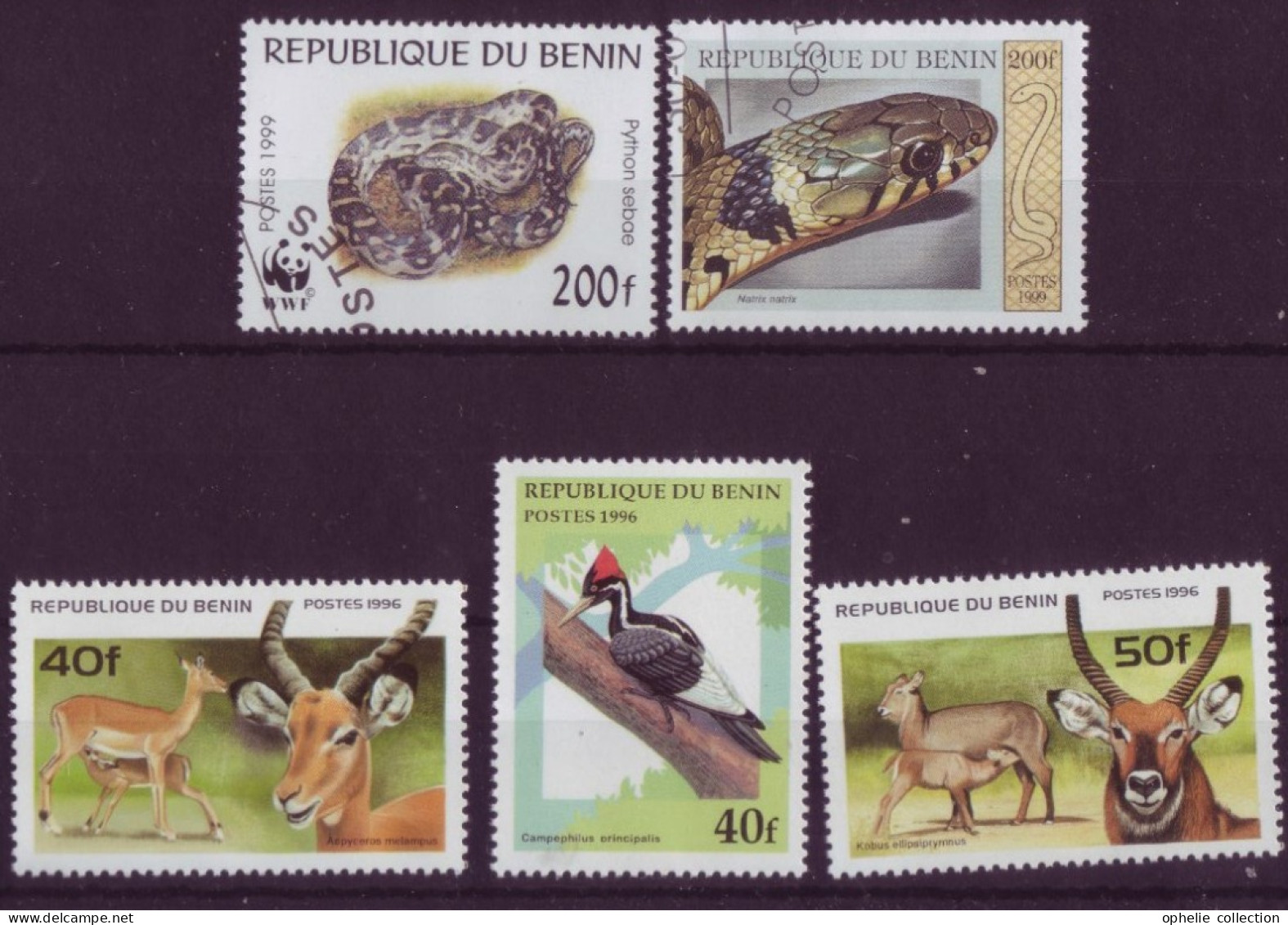 Afrique - Bénin - Faune - 5 Timbres Différents - 6794 - Bénin – Dahomey (1960-...)