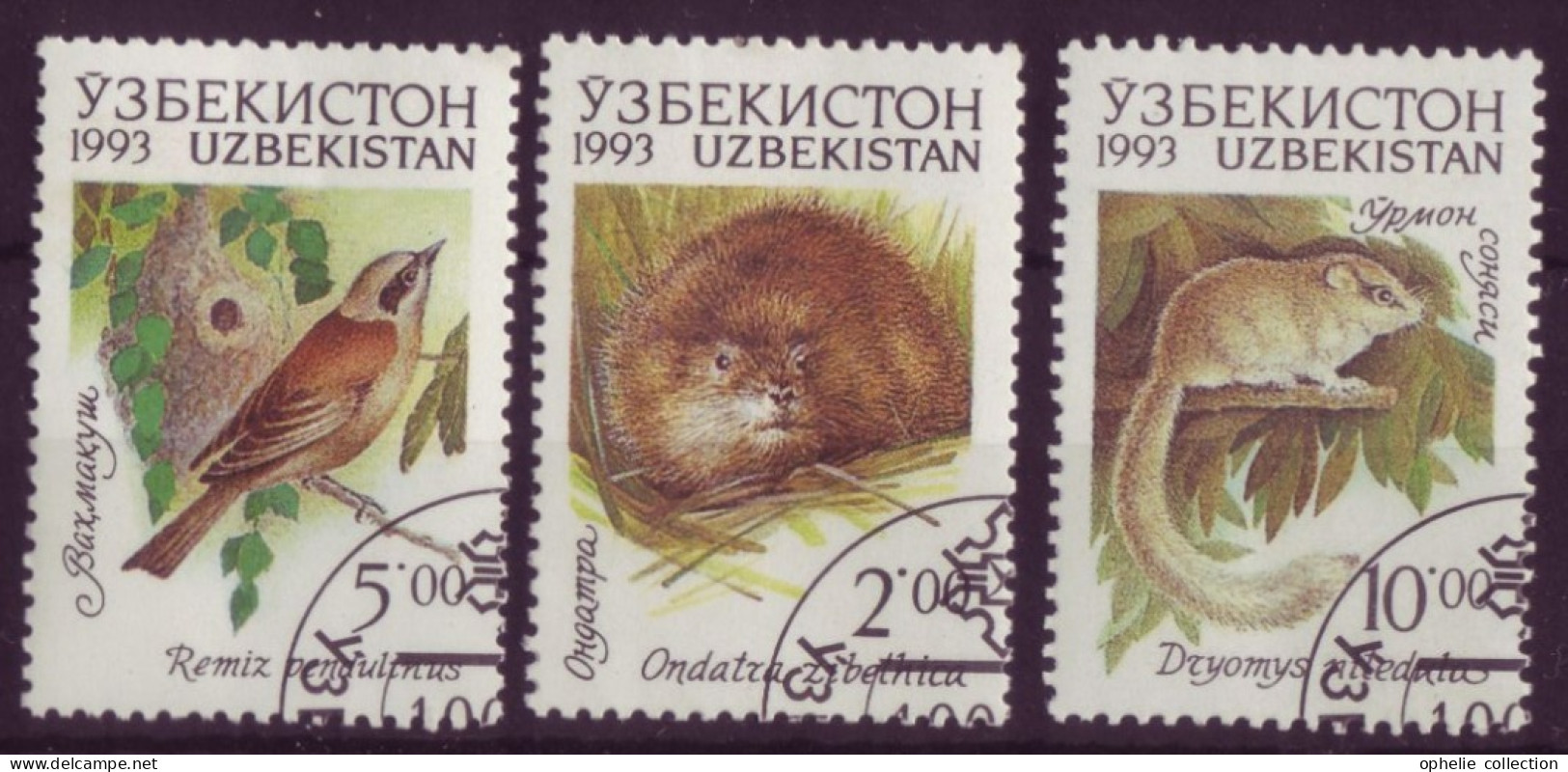 Asie - Uzbekistan - Faune - 3 Timbres Différents - 6799 - Uzbekistán