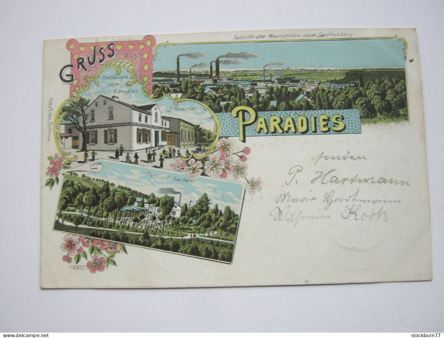 SENFTENBERG , Gasthaus Paradies   , Schöne   Karte Um 1902 , Min. Angeschnitten - Senftenberg