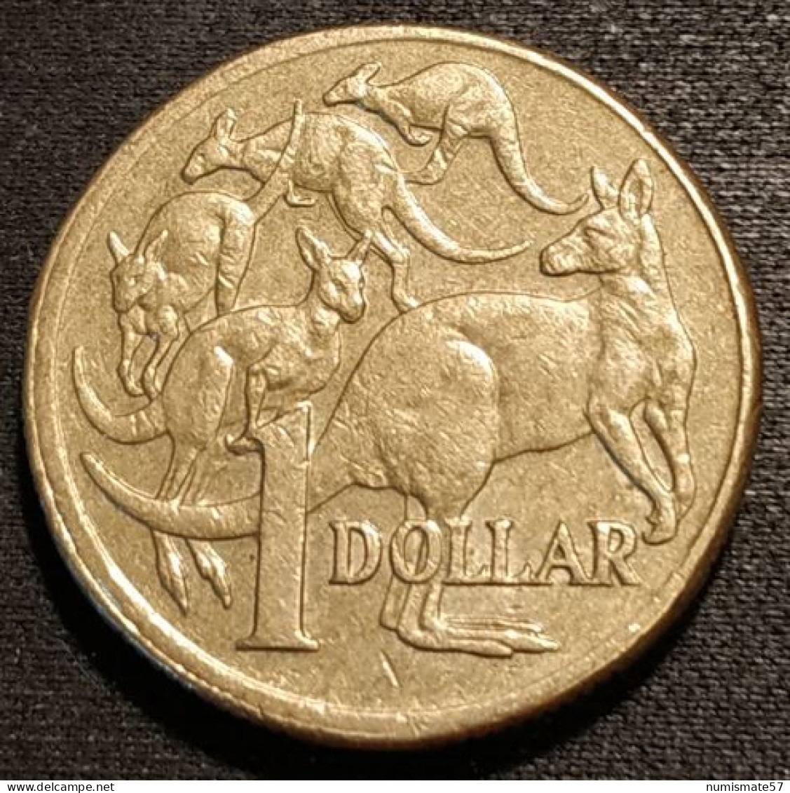 AUSTRALIE - AUSTRALIA - 1 DOLLAR 2004 - Elizabeth II - 4e Effigie - KM 489 - Dollar