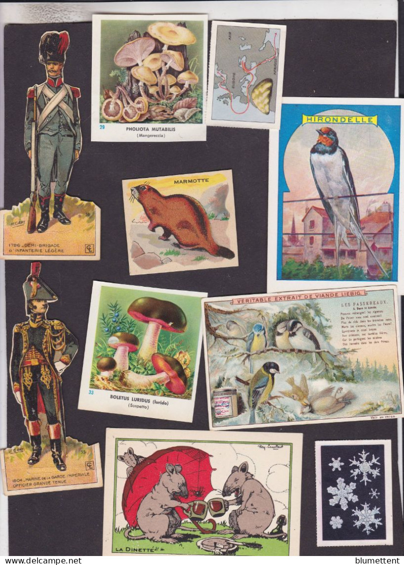 Lot 3158 De 10 Chromos Ou Images Déstockage Pour Revendeurs Ou Collectionneurs - 5 - 99 Postales