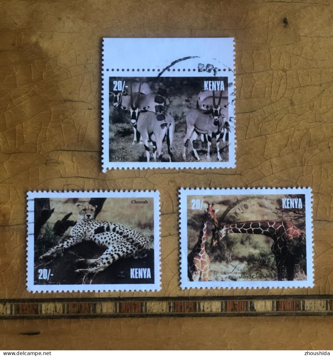 Kenya 1996 Wild Life 3 Different 20SH Fine Used - Kenya (1963-...)