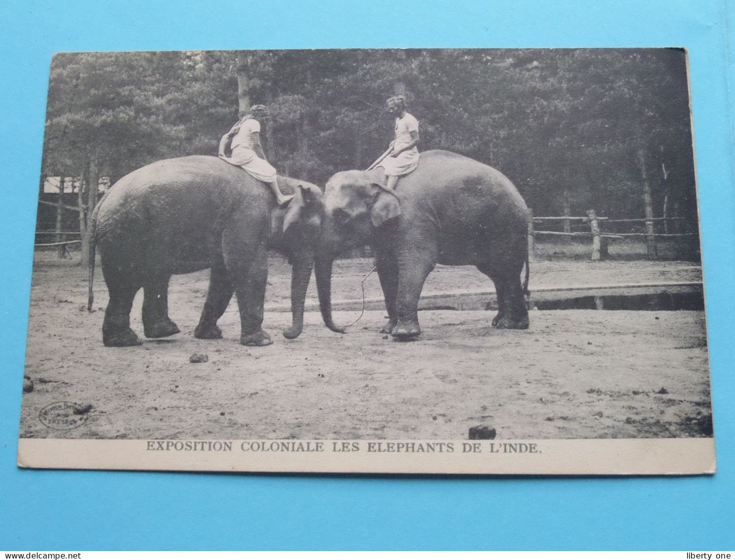 EXPOSITION COLONIALE - Les ELEPHANTS De L'INDE ( Edit. ?) Anno 19?? ( Voir SCANS ) ! - Elephants