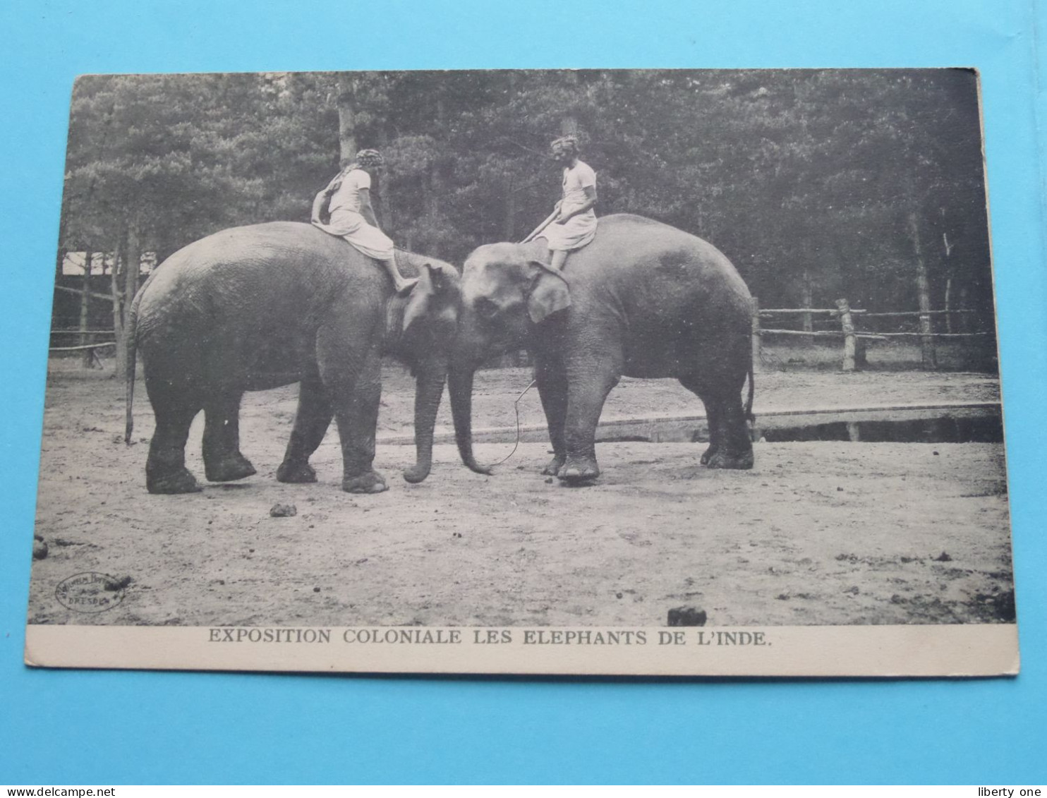 EXPOSITION COLONIALE - Les ELEPHANTS De L'INDE ( Edit. ?) Anno 19?? ( Voir SCANS ) ! - Éléphants