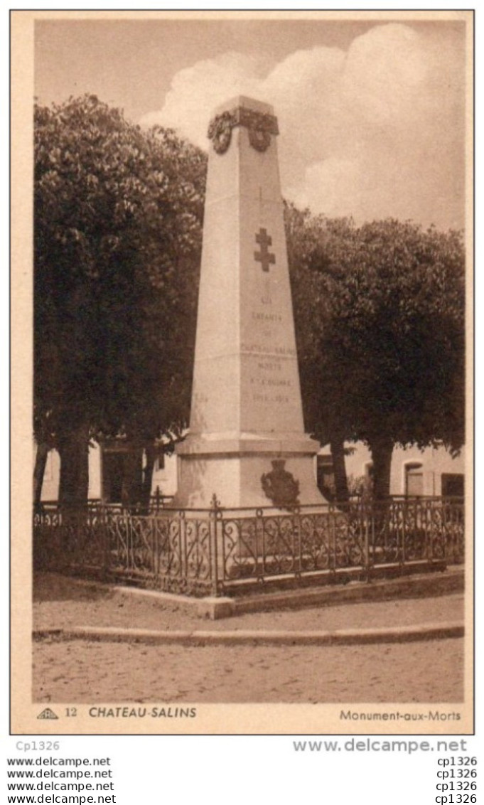 55Nja  57 Chateau Salins Monument Aux Morts - Chateau Salins