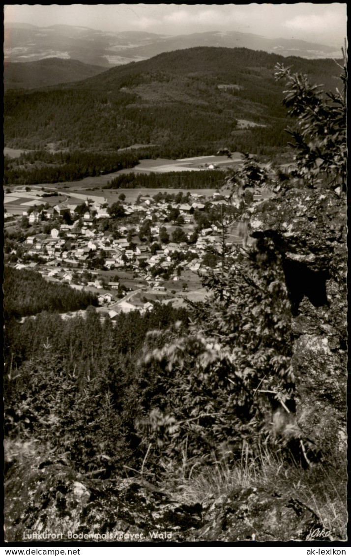 Ansichtskarte Bodenmais Panorama-Ansicht, Bayer. Wald 1959 - Bodenmais
