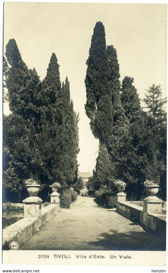 F.375   TIVOLI - Roma - Villa D'Este... - Collez. N.P.G. - Tivoli