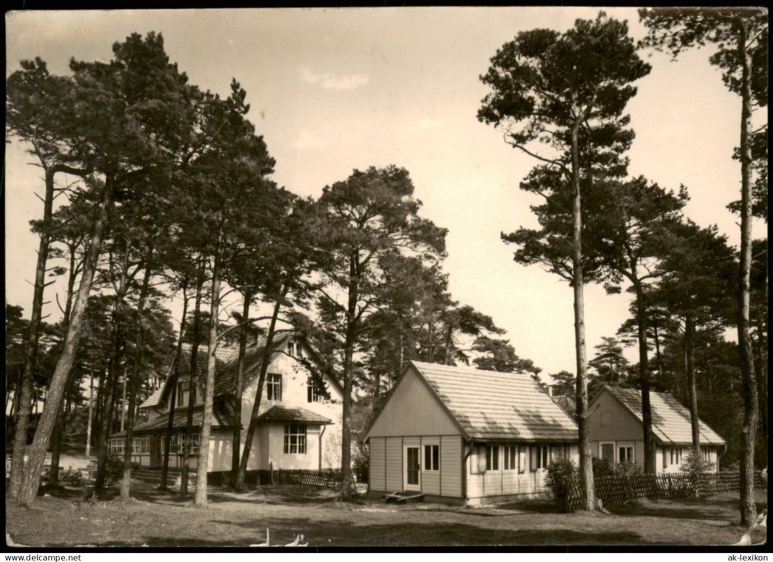 Hiddensee Hiddensjö Ferienheim Und Gaststätte Zum Klausner Am Dornbusch 1965 - Hiddensee