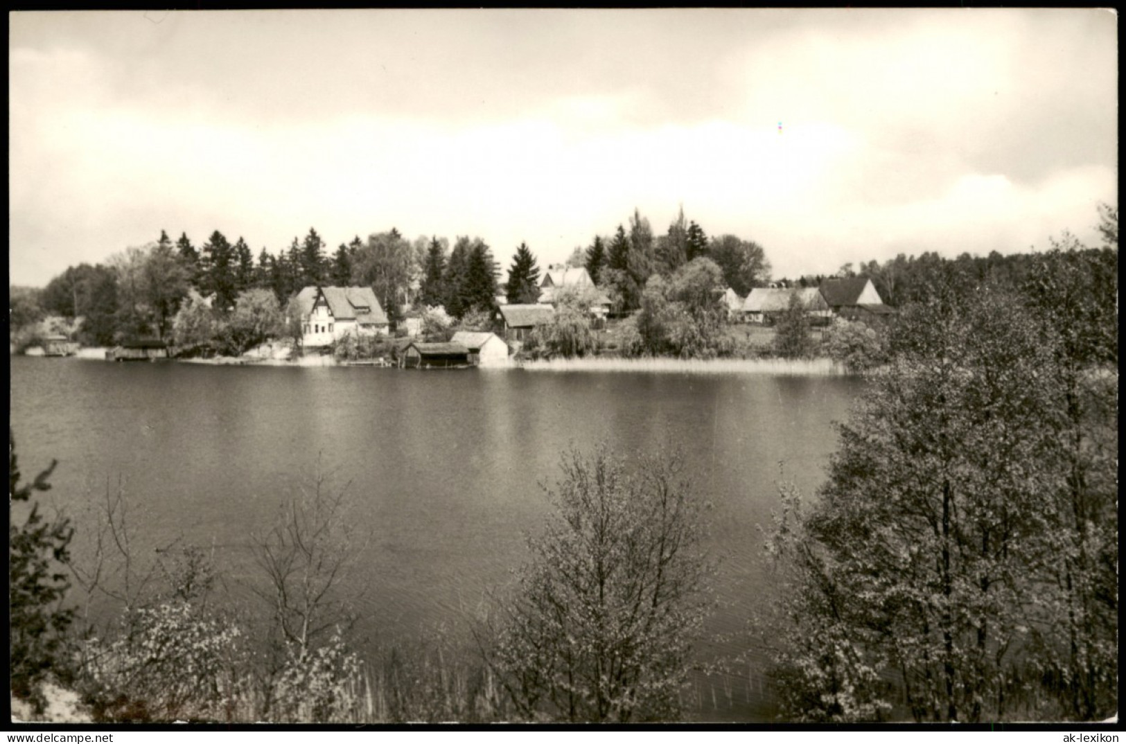 Ansichtskarte Zechlinerhütte/Mark-Rheinsberg Blick Auf Den Ort 1967 - Zechlinerhütte