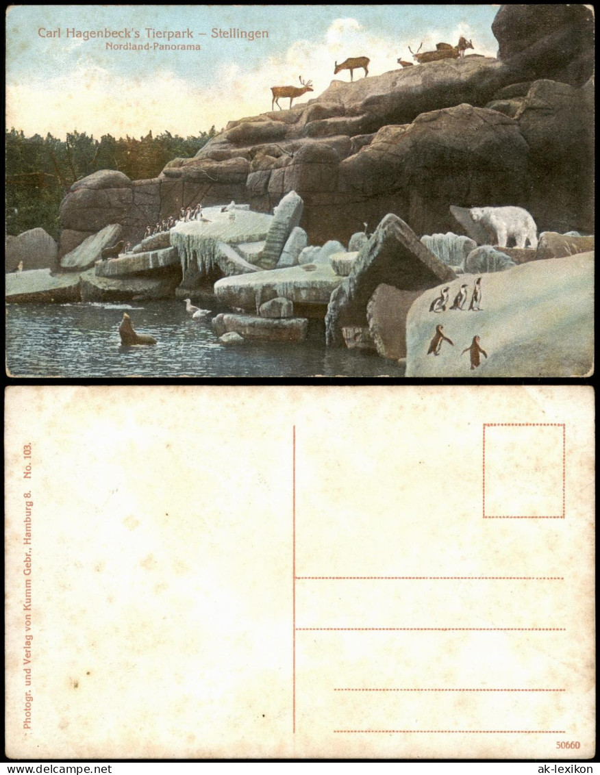 Stellingen-Hamburg Carl Hagenbeck's Tierpark Nordland Eisbär Pinguin 1914 - Stellingen