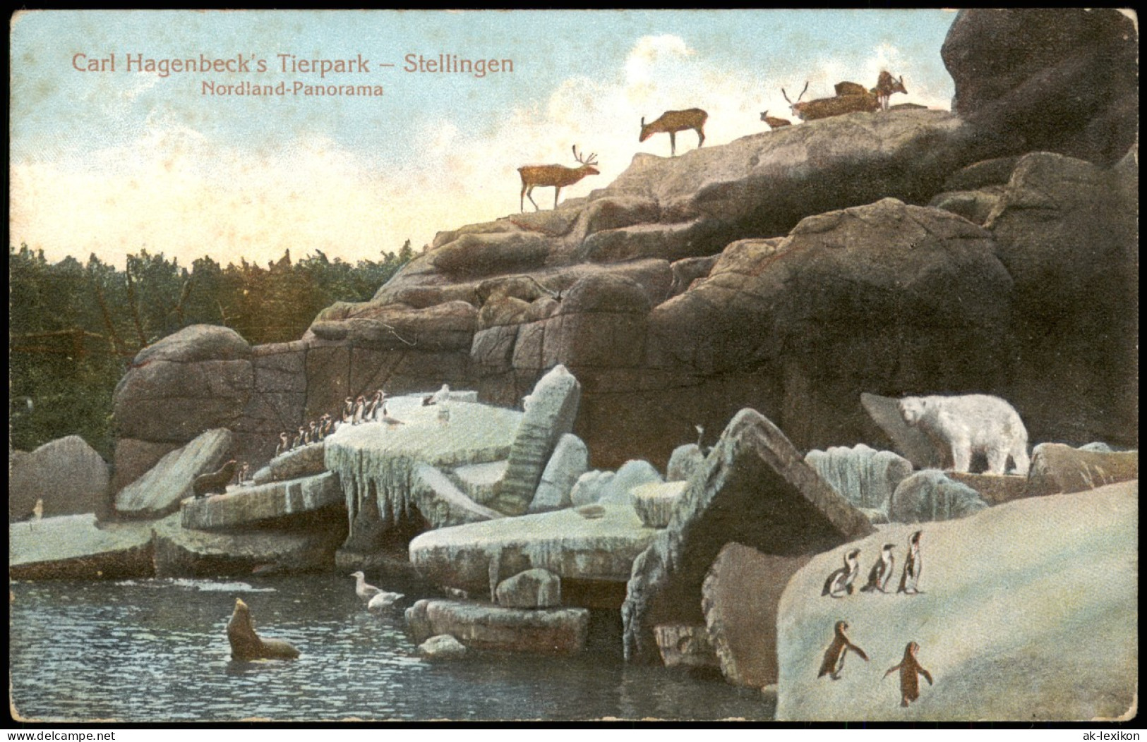 Stellingen-Hamburg Carl Hagenbeck's Tierpark Nordland Eisbär Pinguin 1914 - Stellingen