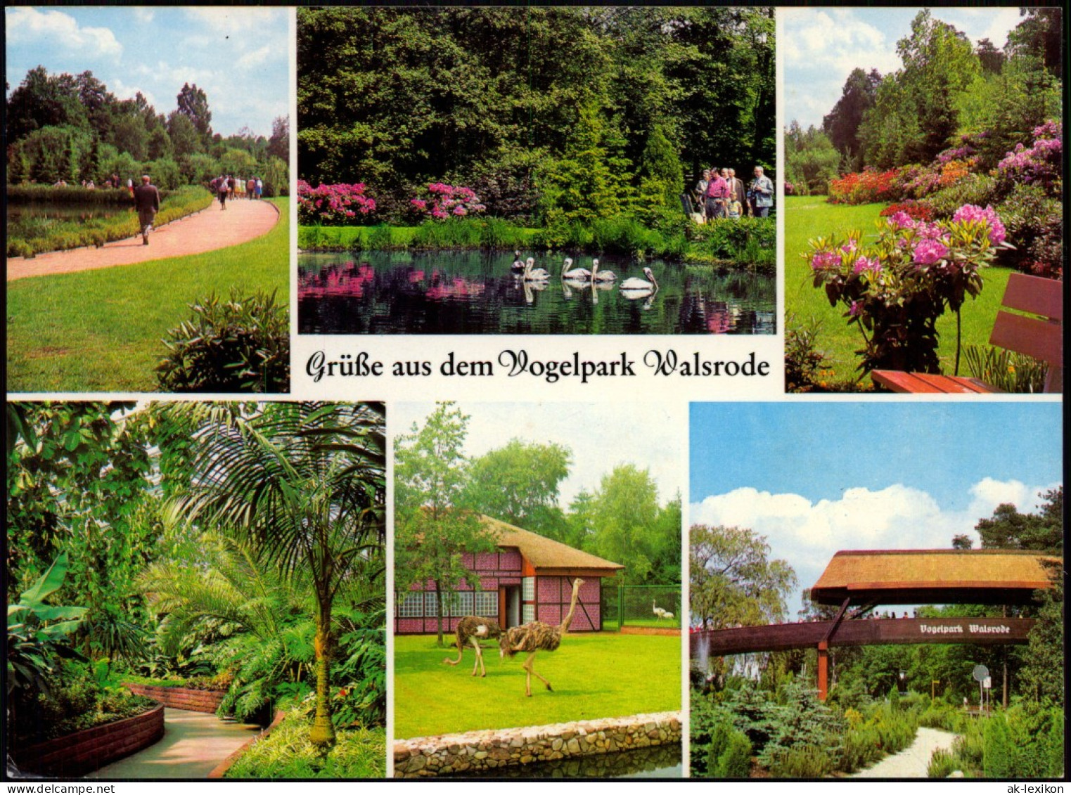 Ansichtskarte Walsrode Vogelpark Mehrbild - Häuser 1991 - Walsrode