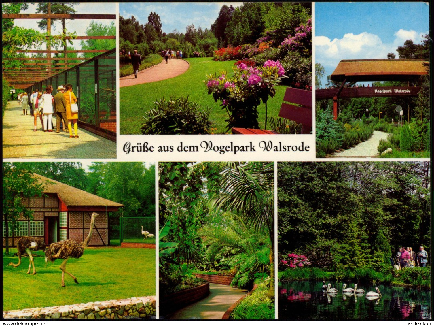 Ansichtskarte Walsrode Vogelpark Mehrbild 1989 - Walsrode