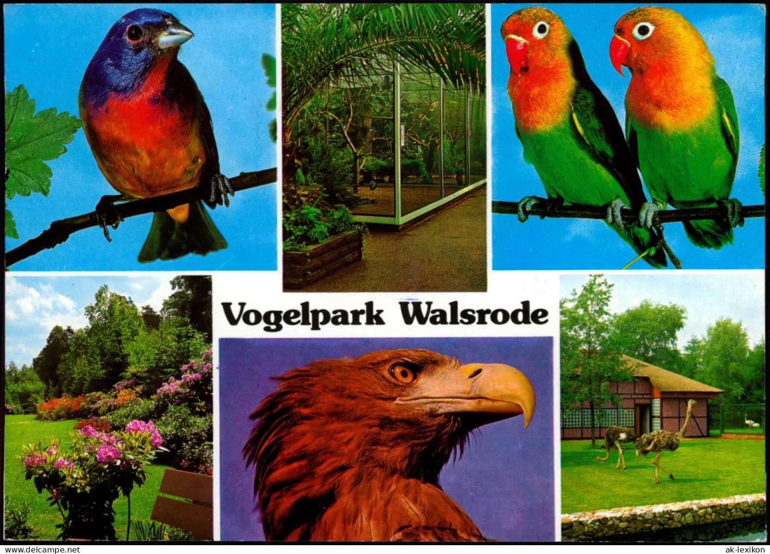 Ansichtskarte Walsrode Vogelpark Mehrbildkarte Mit 6 Foto-Ansichten 1996 - Walsrode