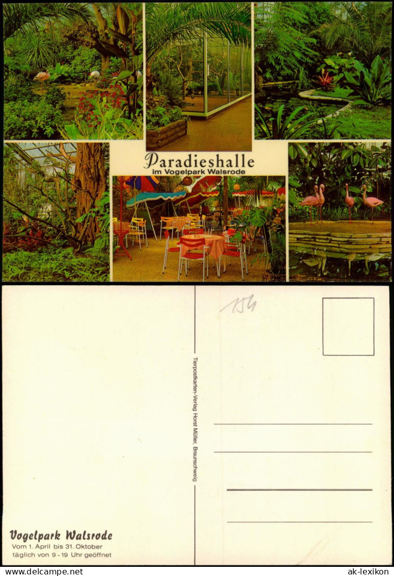 Ansichtskarte Walsrode Paradieshalle Im Vogelpark Walsrode, Mehrbild-AK 1970 - Walsrode