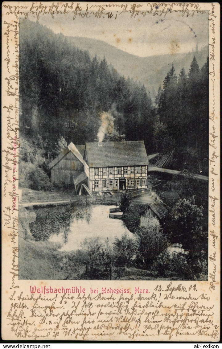 Ansichtskarte Hohegeiß-Braunlage Wolfsbachmühle 1902 Ankunftsstempel Seelze - Braunlage