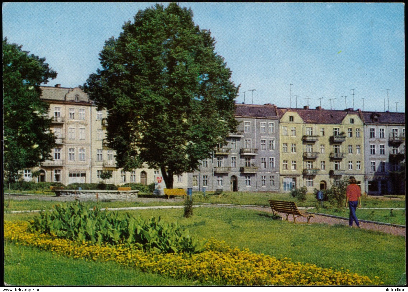 Postcard Slubice Słubice Fragment Ulicy Jedności Robotniczej 1970 - Neumark